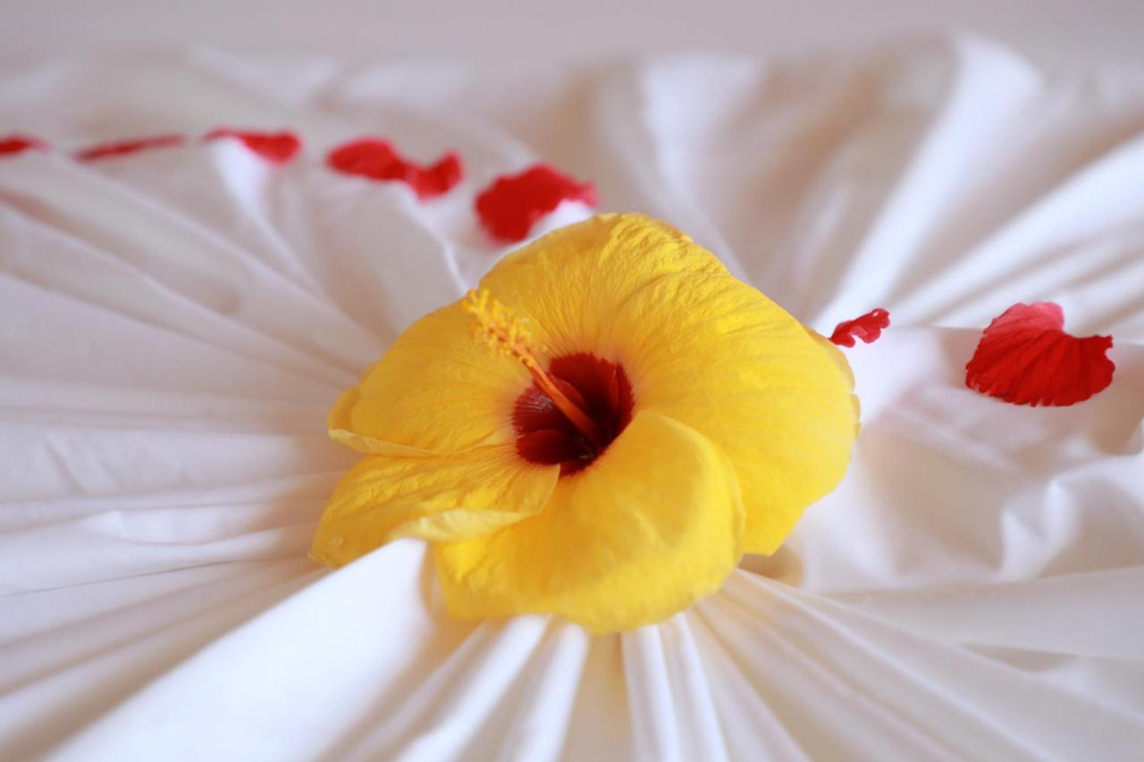 Amazing View Guest House Thoddoo-Atoll Exterior foto