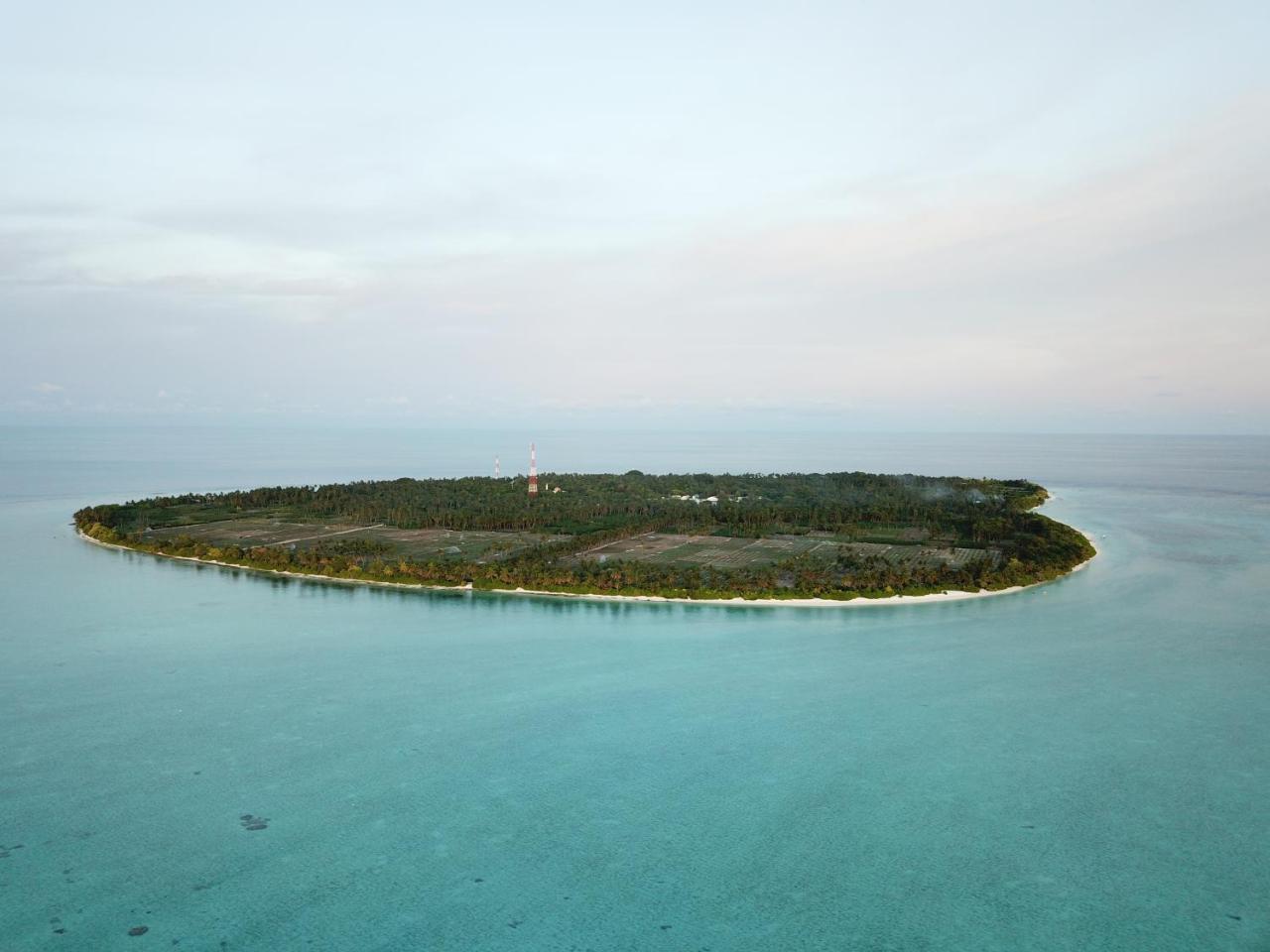 Amazing View Guest House Thoddoo-Atoll Exterior foto