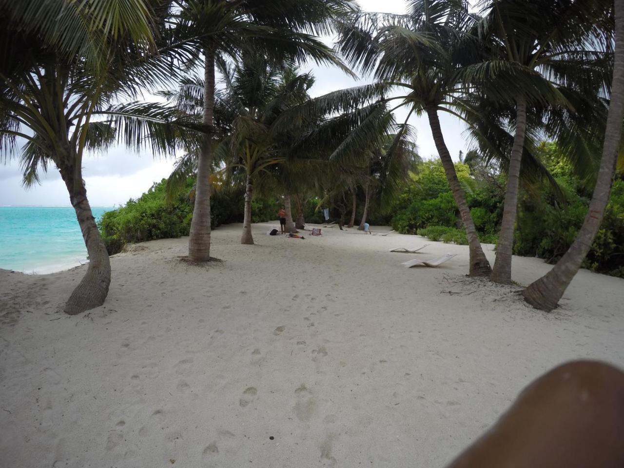 Amazing View Guest House Thoddoo-Atoll Exterior foto